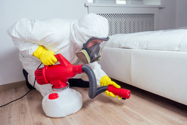 Best Affordable Pest Control Services  in Sparks, NV
