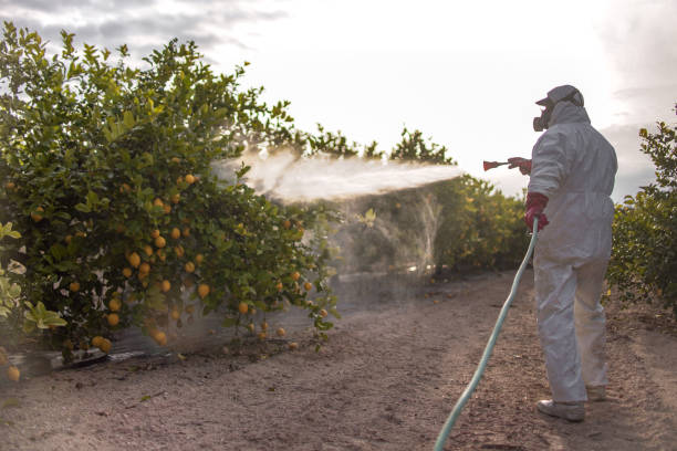 Best Pest Removal Services  in Sparks, NV