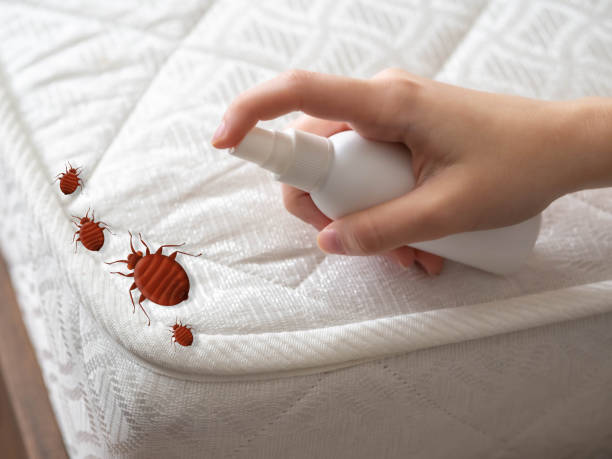 Best Commercial Pest Control Services  in Sparks, NV